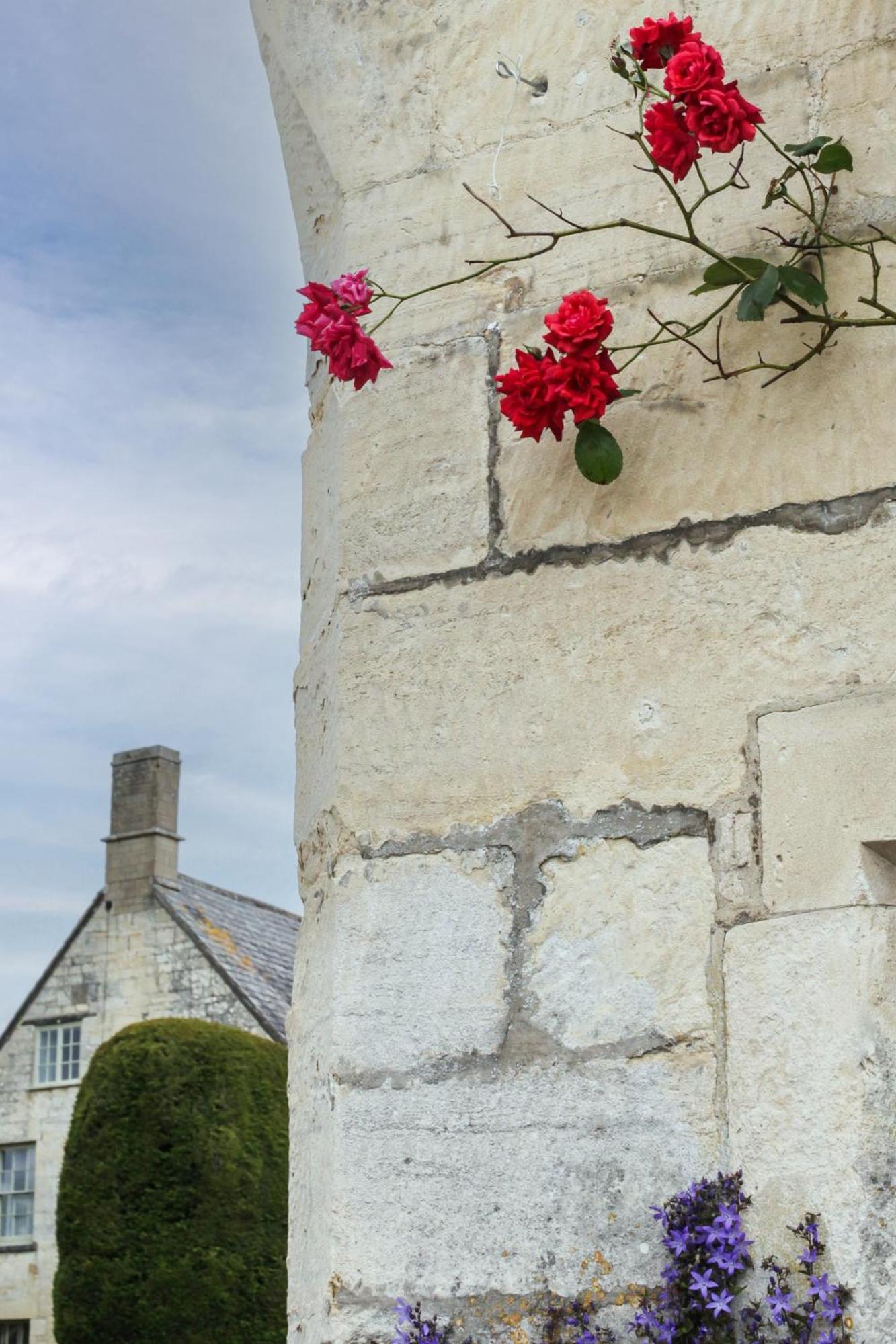 Bright & Beautiful Open Plan Coach House Painswick 빌라 외부 사진